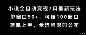 小说全自动变现7月玩法，单窗口50+，可挂100窗口，简单上手，全流程限时公布【揭秘】-苏柒资源库
