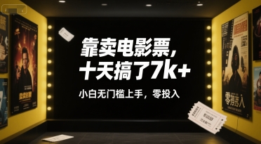 靠卖电影票，十天搞了7k+，小白无门槛上手，零投入【揭秘】-苏柒资源库