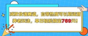 减肥食谱赛道，自带热度可长期运营，养老玩法，单日轻松搞定769-苏柒资源库