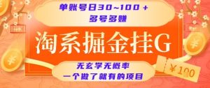 淘系掘金挂G项目,单账号日收益30~100+,多号多得,一个做了就有的项目【揭秘】-苏柒资源库