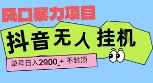 2025最新抖音暴力挂G撸金项目，单号产出2k+ ，小白当天也能拿结果，长期稳定做的项目【揭秘】-苏柒资源库