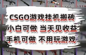 CSGO游戏挂G搬砖,小白纯手机即可操作,不用电脑打游戏,日入3张+,副业网创项目【揭秘】-苏柒资源库