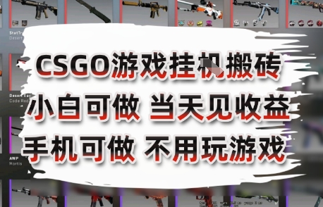 CSGO游戏挂G搬砖，小白纯手机即可操作，不用电脑打游戏，日入3张+，副业网创项目【揭秘】-苏柒资源库