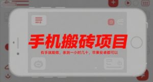 手机搬砖项目,有手就能做,亲测一小时几十,苹果安卓都可以-苏柒资源库