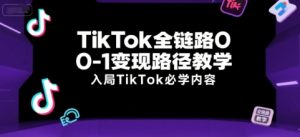 TikTok全链路0-1变现路径教学,入局TikTok必学内容-苏柒资源库