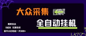 大众采集全自动玩法,新手小白轻松一天5张+,操作简单零成本【揭秘】-苏柒资源库