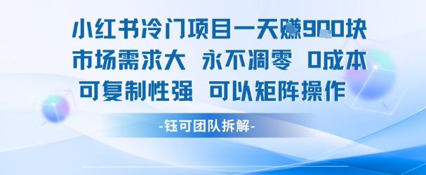 小红书冷门项目一天收益9张，市场需求大，0成本，可复制性强可以矩阵操作-苏柒资源库