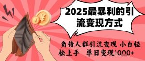 2025年最暴利的引流变现方式,负债人群引流变现,小白轻松上手,日入1k-苏柒资源库