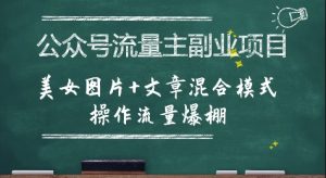 公众号流量主副业项目,美女图片+文章混合模式操作流量爆棚-苏柒资源库
