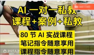AI指令实战课,课程+案例,80节AI实战课程,笔记指令随意享用,课程指令随意享用(更新7月)-苏柒资源库