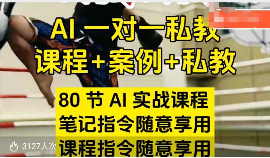AI指令实战课，课程+案例，80节AI实战课程，笔记指令随意享用，课程指令随意享用（更新7月）-苏柒资源库