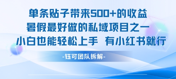 单条贴子带来5张的收益，暑假最好做的私域项目之一，小白也能轻松上手，有小红书就行-苏柒资源库