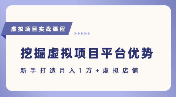 抓住虚拟项目各平台优势，新手轻松月入1W+(给出具体建议)-苏柒资源库