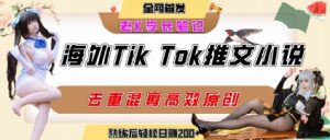 海外tiktok小说推文暴力项目，高停留率，高转化率，上手后一天搞顿饭钱不是问题-苏柒资源库