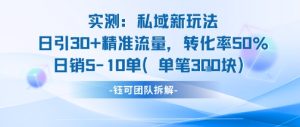 实测私域新玩法日引30加精准流量转化率50%日销5-10单每笔3张-苏柒资源库