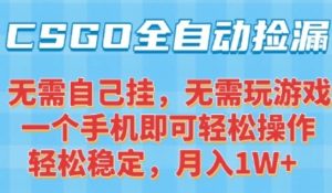 CSGO自动捡漏项目，最新独家玩法，一个手机可操作，新手小白轻松月入1W+，操作简单易上手【揭秘】-苏柒资源库