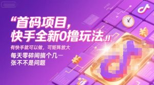首码项目，快手全新0撸玩法，有快手就可以做，可矩阵放大，每天零碎时间搞个几张不是问题【揭秘】-苏柒资源库