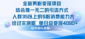 全新男粉变现项目引流人群35以上的男粉消费能力大 经过实测单日变现1k+-苏柒资源库