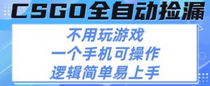 CSGO自动捡漏项目,最新独家玩法,不用挂G不用玩游戏,一个手机即可操作,新手小白轻松月入1W+【揭秘】-苏柒资源库