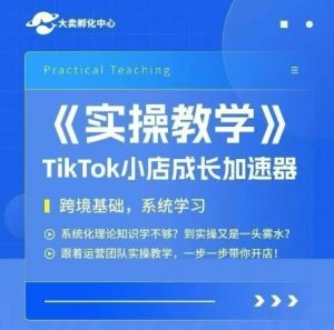 大卖家孵化中心TikTok实操课，TikTok小店成长加速器，跨境基础系统学习，一步一步带你开店-苏柒资源库