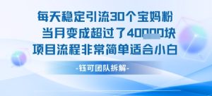 每天稳定引流30个人 当月变成超过了4个W项目流程非常简单适合小白-苏柒资源库