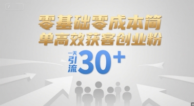 零基础零成本简单高效获客创业粉，一天引流30+-苏柒资源库