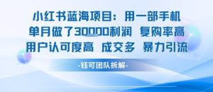 小红书蓝海项目,一部手机单月做了3W利润,小白也能月入过1W用户认可度高成交多-苏柒资源库
