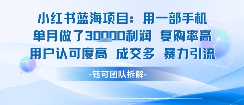 小红书蓝海项目，一部手机单月做了3W利润，小白也能月入过1W用户认可度高成交多-苏柒资源库