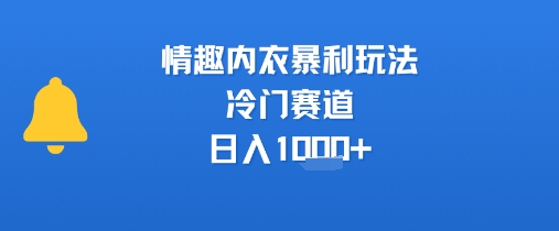 情趣内衣暴利玩法，冷门赛道，日入1k+-苏柒资源库