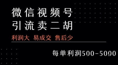 视频号卖二胡教程，利润大 易成交 售后少，一单利润5张+-苏柒资源库
