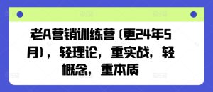 老A营销训练营(更25年7月)，轻理论，重实战，轻概念，重本质-苏柒资源库
