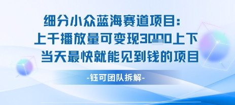 小众蓝海赛道项目：当天变现1k+适合新手操作 +适合长期玩-苏柒资源库