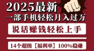 起航哥10个项目8个100%挣钱项目，2025最新一部手机轻松月入过W，简单轻松，无脑操作-苏柒资源库