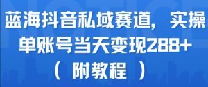 蓝海抖音私域赛道,实操单账号当天变现288+(附教程)-苏柒资源库