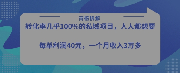 转化率最高的私域项目，每单利润40-50米，月入过1w-苏柒资源库