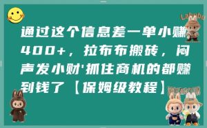 通过这个信息差一单小挣4张+，拉布布搬砖，闷声发小财抓住商机的都挣到钱了【保姆级教程】-苏柒资源库