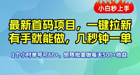 最新首码项目，一键拉新有手就能做，几秒钟一单，1个小时单号可60+，矩阵批量做每天5张【揭秘】-苏柒资源库