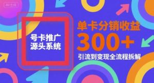 号卡推广源头系统,单卡分销收益3张+,引流到变现全流程拆解【揭秘】-苏柒资源库