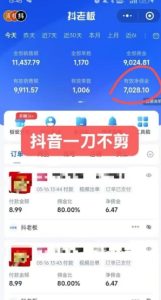 抖音短视频一刀不剪带货,不剪辑,不直播,每天发个视频,等着出单获取带货佣金-苏柒资源库