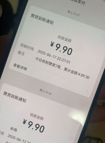 二次元男粉快速变现项目，私域卖虚拟产品，百分利润-苏柒资源库