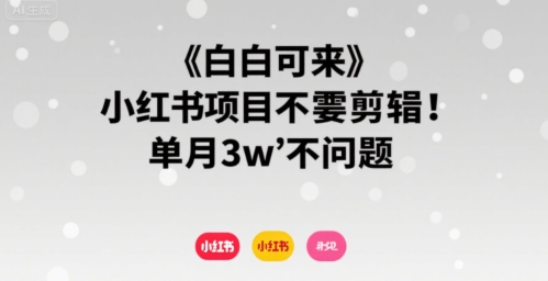 小白可来 小红书项目不需要剪辑 单月3w不是问题-苏柒资源库