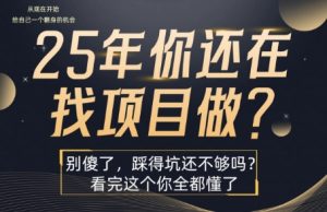25年，你还在疯狂的找项目吗？别傻了，看完这个你都懂了【揭秘】-苏柒资源库