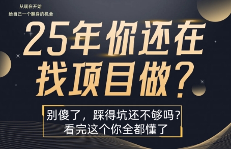 25年，你还在疯狂的找项目吗？别傻了，看完这个你都懂了【揭秘】-苏柒资源库