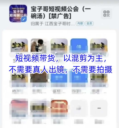 宝子哥头部团队短视频带货，以混剪为主，不需要真人出镜，不需要拍摄【更新8月】-苏柒资源库