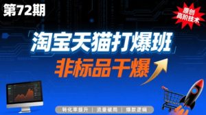 淘宝天猫打爆班原创高阶技术第72期,非标品干爆-苏柒资源库