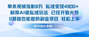 单条视频私域变现4.9k+利用AI做私域玩法 已经开始火热0基础也能做的副业项目轻松上手-苏柒资源库