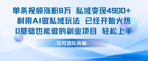 单条视频私域变现4.9k+利用AI做私域玩法 已经开始火热0基础也能做的副业项目轻松上手-苏柒资源库