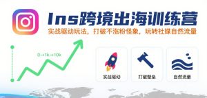 Ins跨境出海训练营,实战驱动玩法,打破不涨粉怪象,玩转社媒自然流量-苏柒资源库
