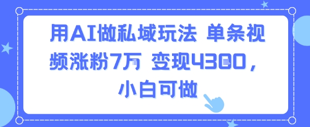 用AI做私域玩法，单条视频涨粉7W变现4.3k，小白可做-苏柒资源库
