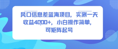 风口信息差蓝海项目，实测一天收益4k+，小白操作简单，可矩阵起号-苏柒资源库